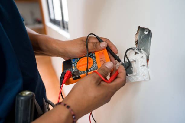 Best Licensed Electrician  in Dland, MI