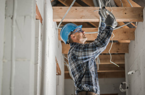 Best Generator Installation Services  in Dland, MI
