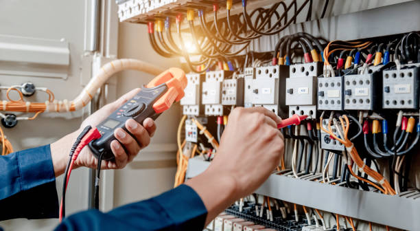 Best Home Electrical Repair  in Dland, MI