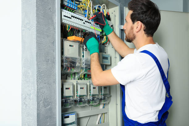 Best Affordable Electrical Installation  in Dland, MI