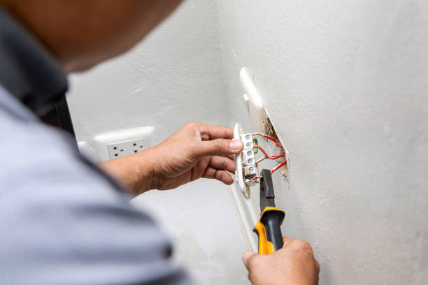 Best Ceiling Fan Installation Electrician  in Dland, MI