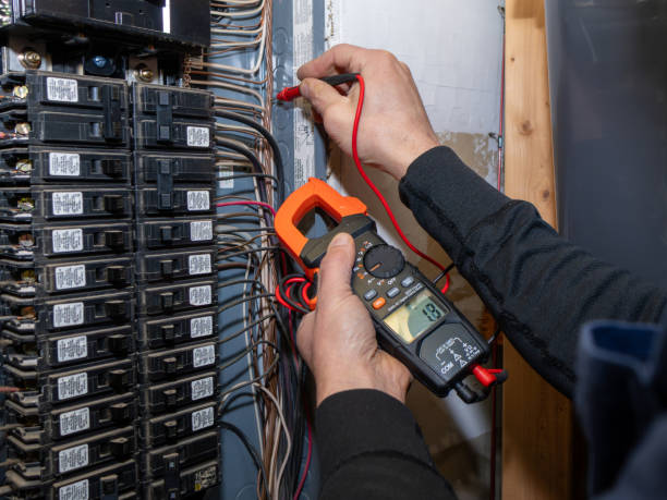 Best Residential Electrician Services  in Dland, MI