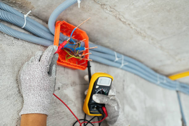 Best Industrial Electrical Services  in Dland, MI