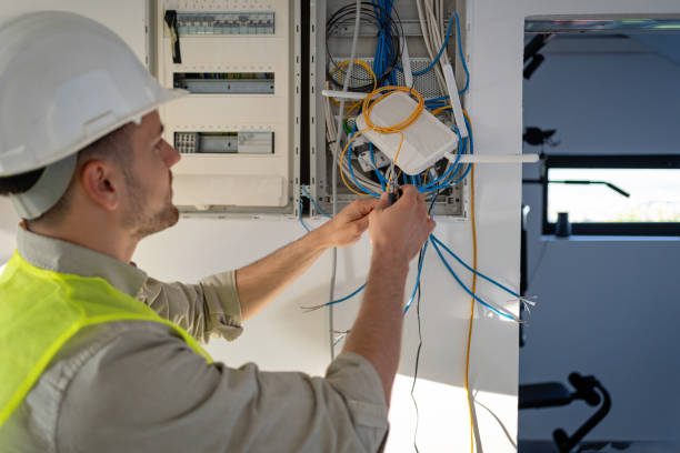 Best Electric Panel Repair  in Dland, MI