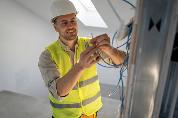 Best Generator Installation Services  in Dland, MI