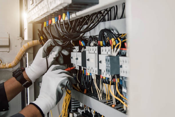 Best Electrician for Home Renovation  in Dland, MI