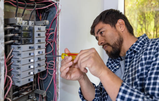 Best Electrical Upgrades for Homes  in Dland, MI